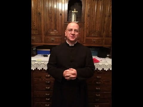 Fr. Ripperger ~ Our Lady’s View of Our Times