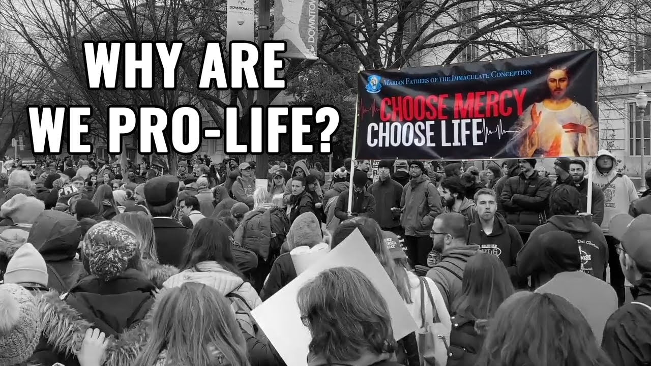 why-be-pro-life-a-way-to-explain-it