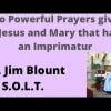 Two Powerful Precious Blood Prayers given by Jesus and Mary that have an Imprimatur - Fr. Jim Blount